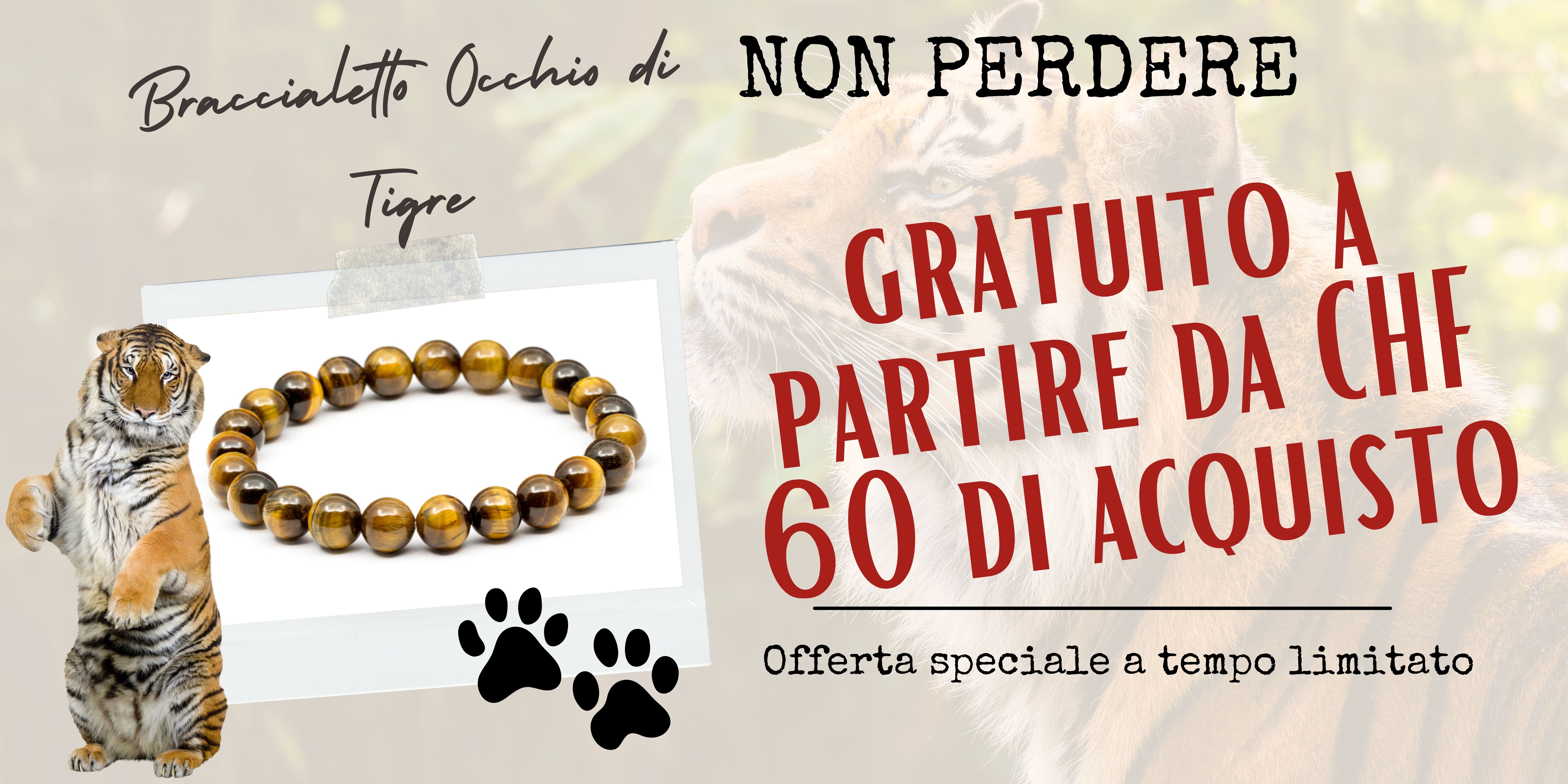 60 BRACCIALETTI BRACCIALI PORTA FORTUNA PORTAFORTUNA BRACCIALE BRACCIALETTO  NEW