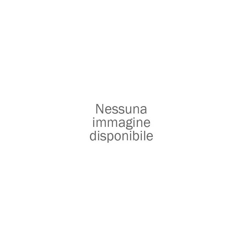 Commissioni di swissbilling